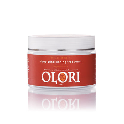 Wash Day Duo: Clarifying Shampoo + Deep Conditioning treatment